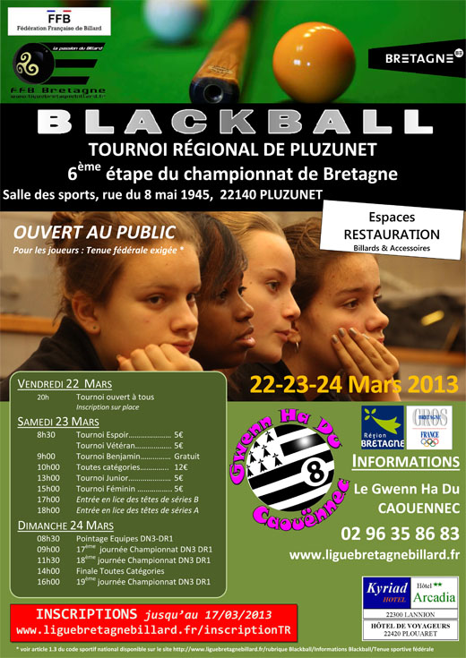 TR6-2013 Affiche Pluzunet-V4-520px